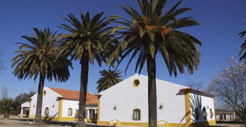 Herdade da Samarra AG