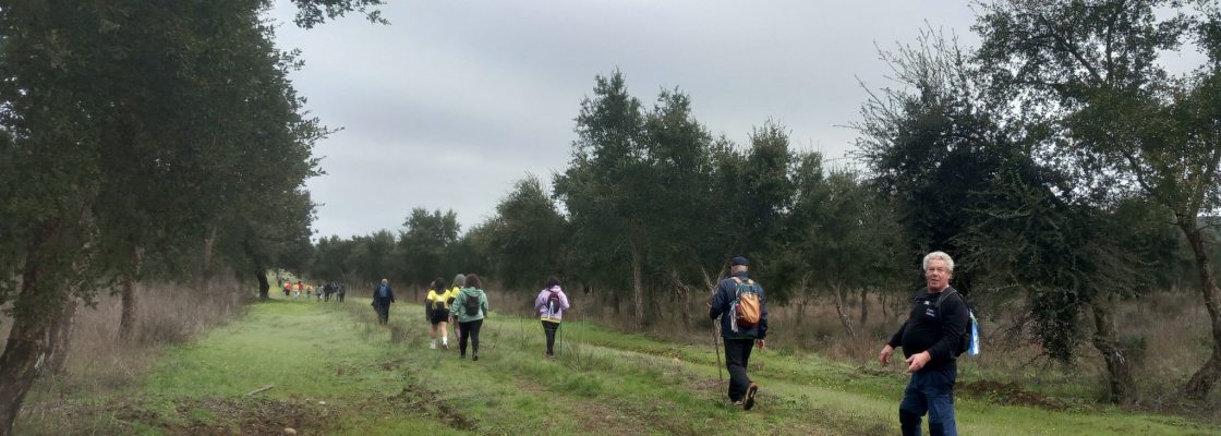 613613978_1685197039532591_6409164978013599803_n